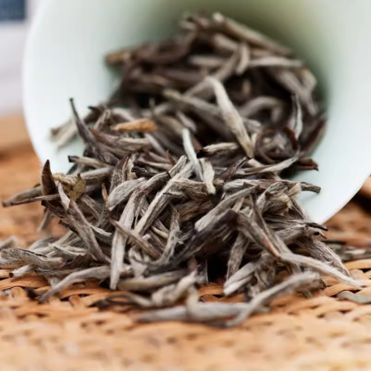 05年福鼎老白茶/白毫银针(100g)